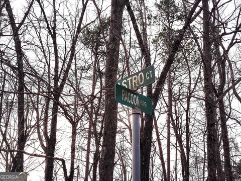 1036 Astro CT NE Ranger GA 30734