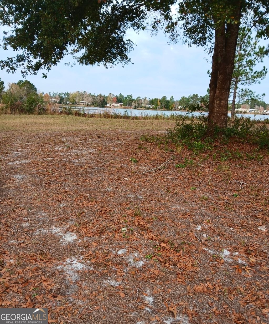 Photo of 165442 Spring Lake Drive #42, Folkston, GA 31537 (MLS # 10657608)