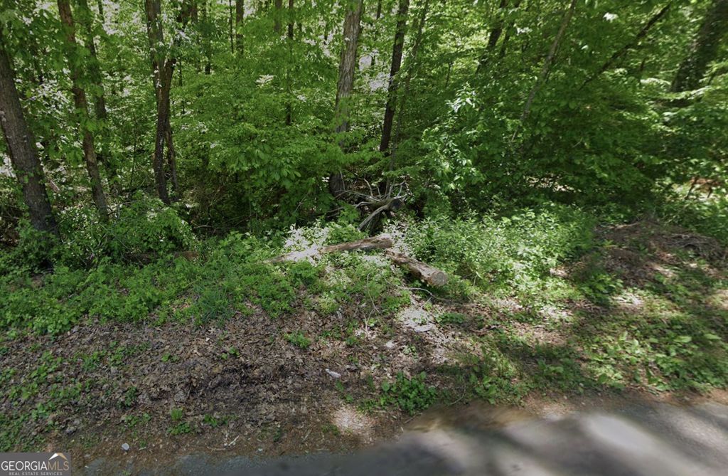 Photo of 0 Sawnee Terrace, Gainesville, GA 30506 (MLS # 10671404)