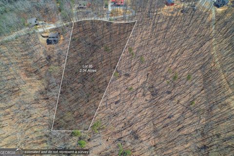 Photo of 35 Heatherwood Way, Talking Rock, GA 30175 (MLS # 10484981)
