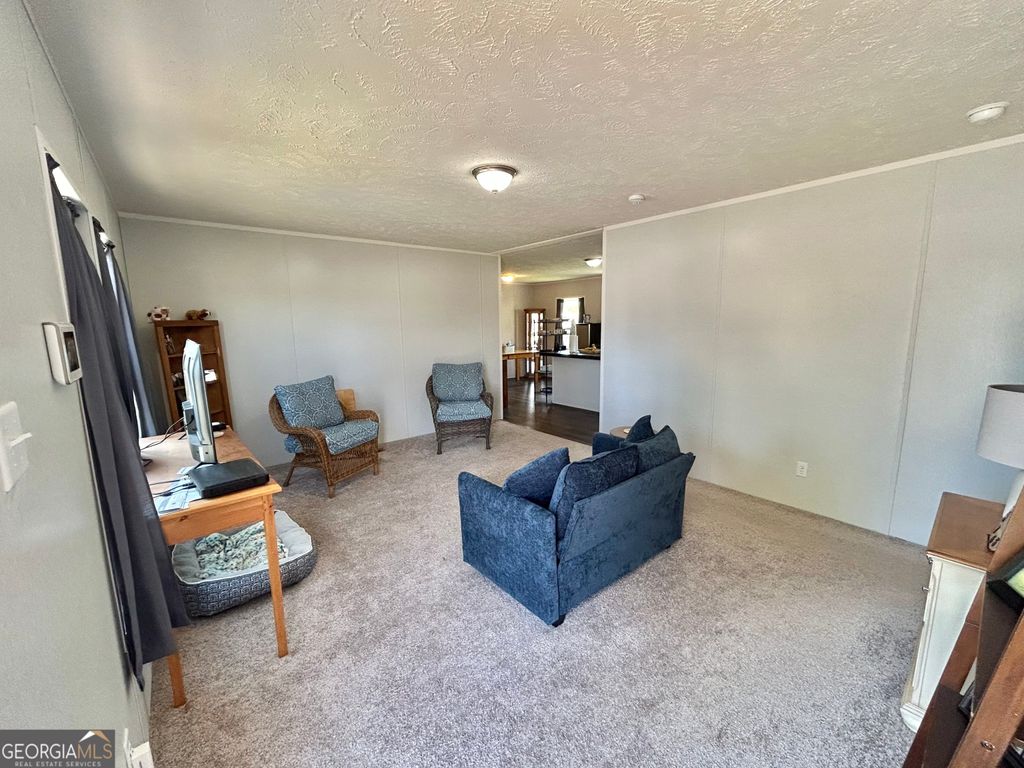 Photo of 1010 MIZE Road, Toccoa, GA 30577 (MLS # 10715076)