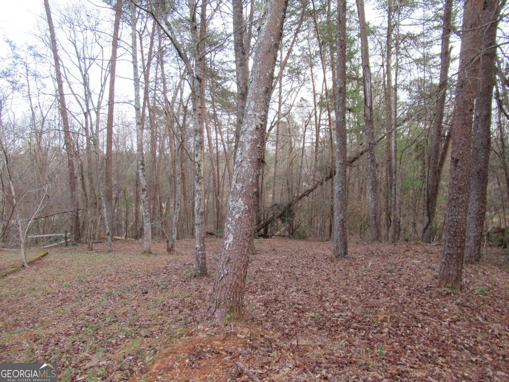 Photo of 61 Berry Patch Lane, Cleveland, GA 30528 (MLS # 10659380)