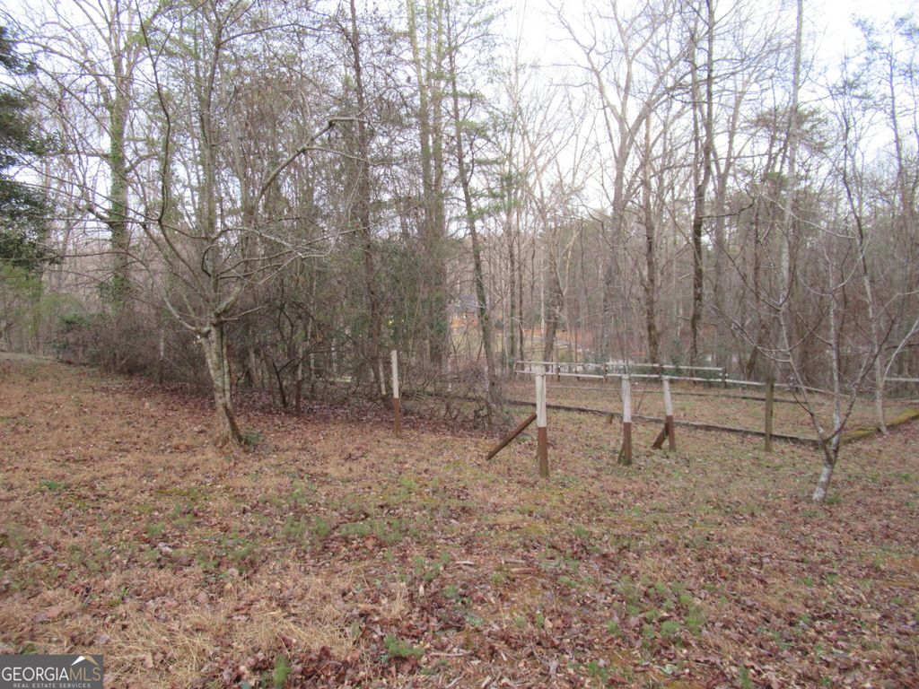 Photo of 61 Berry Patch Lane, Cleveland, GA 30528 (MLS # 10659380)