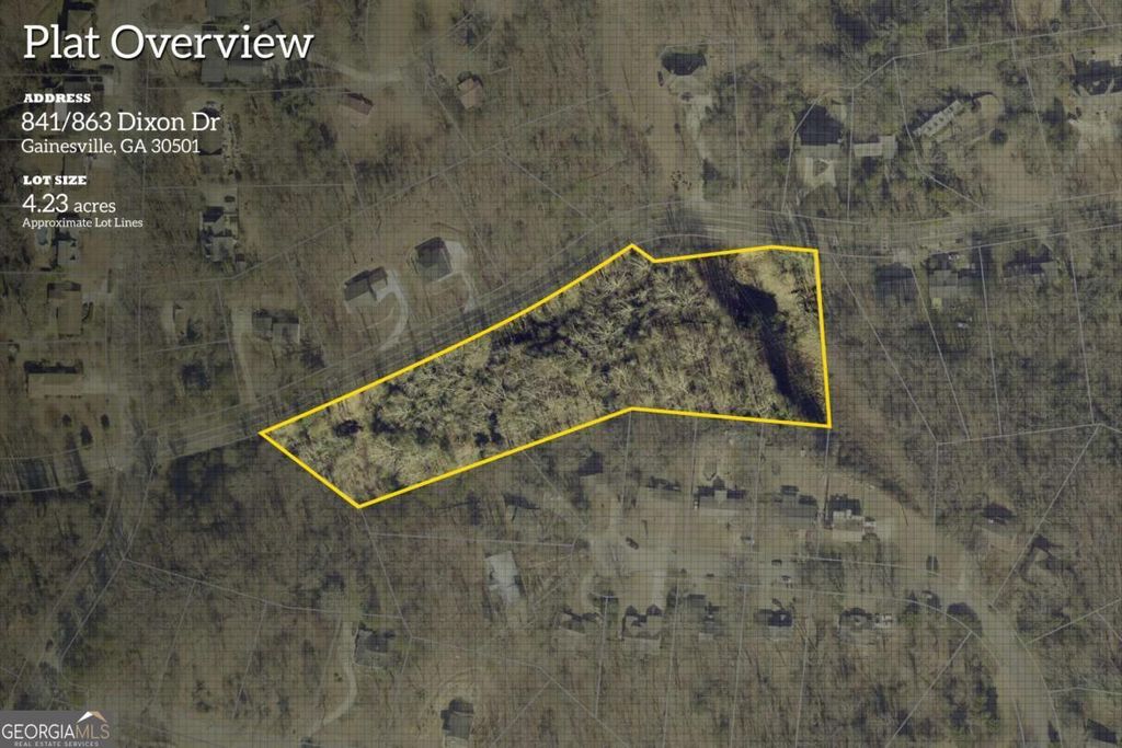 Photo of 841 Dixon Drive, Gainesville, GA 30501 (MLS # 10681347)