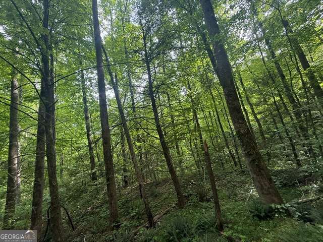 389 Fox Trot TRACT B