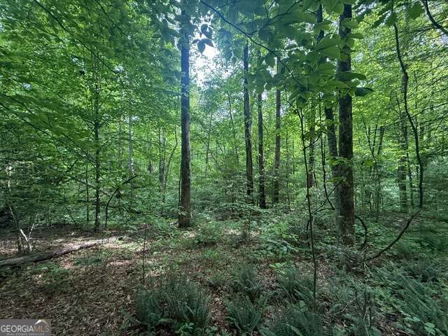 389 Fox Trot TRACT B