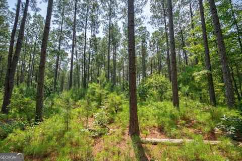Photo of 0 Jabez Poyner Road, Carlton, GA 30627 (MLS # 10817816)