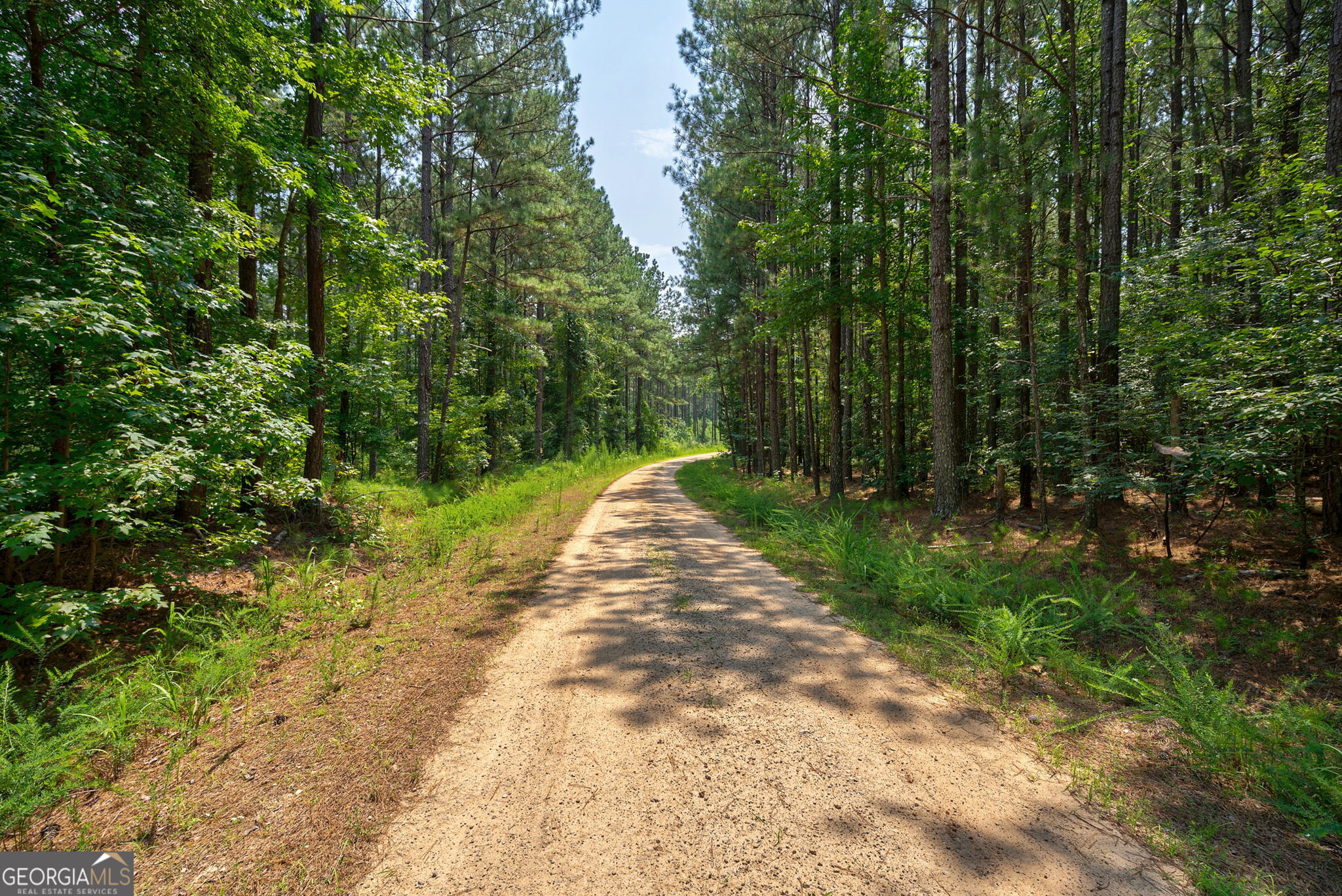 0 Jabez Poyner RD