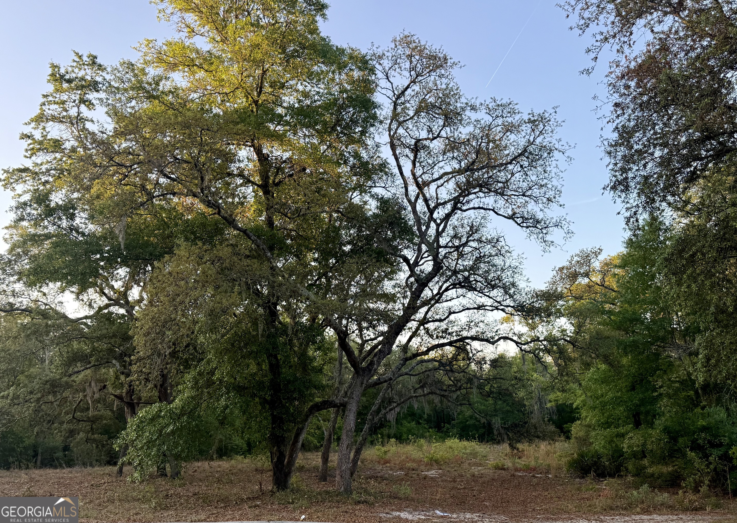 6005 & 6007 Tree Top LN