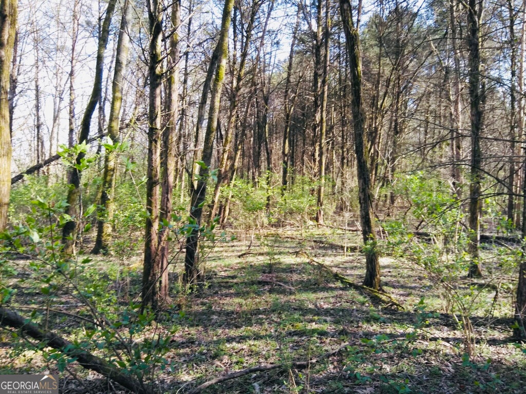 Photo of 1517 Ninety Seven Springs Road NE, Dalton, GA 30721 (MLS # 10839159)