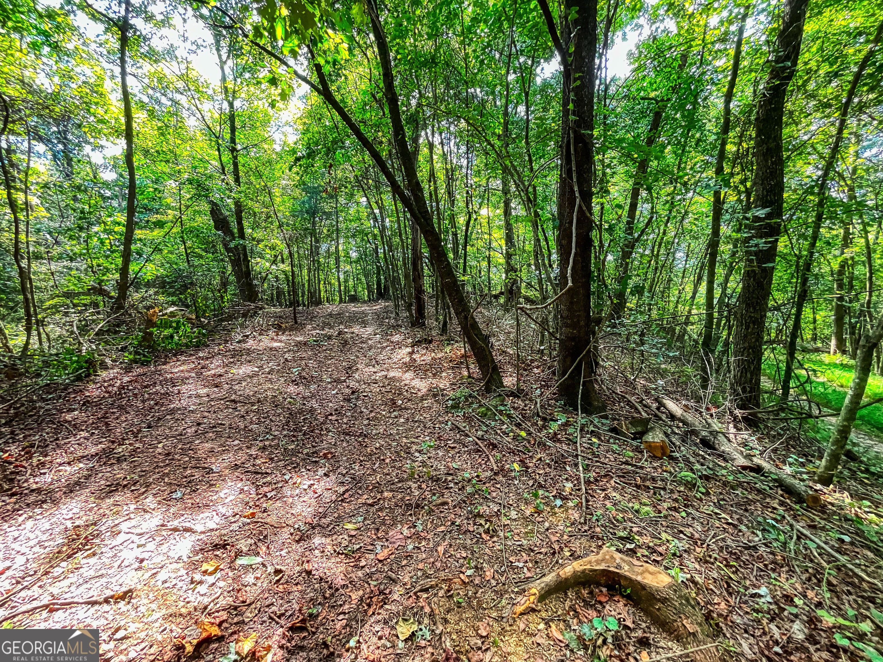 241 ACRES Legion RD