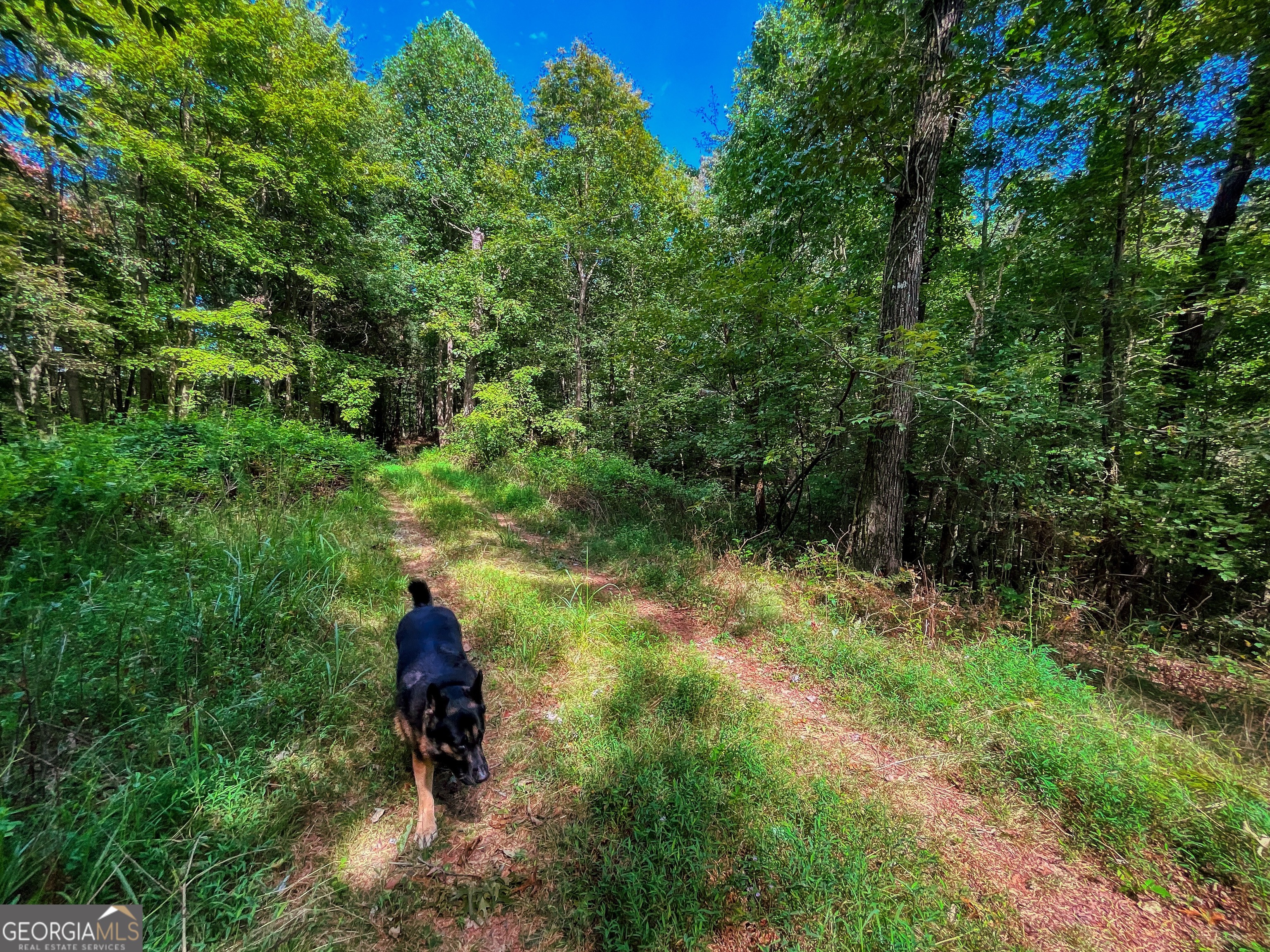 241 ACRES Legion RD
