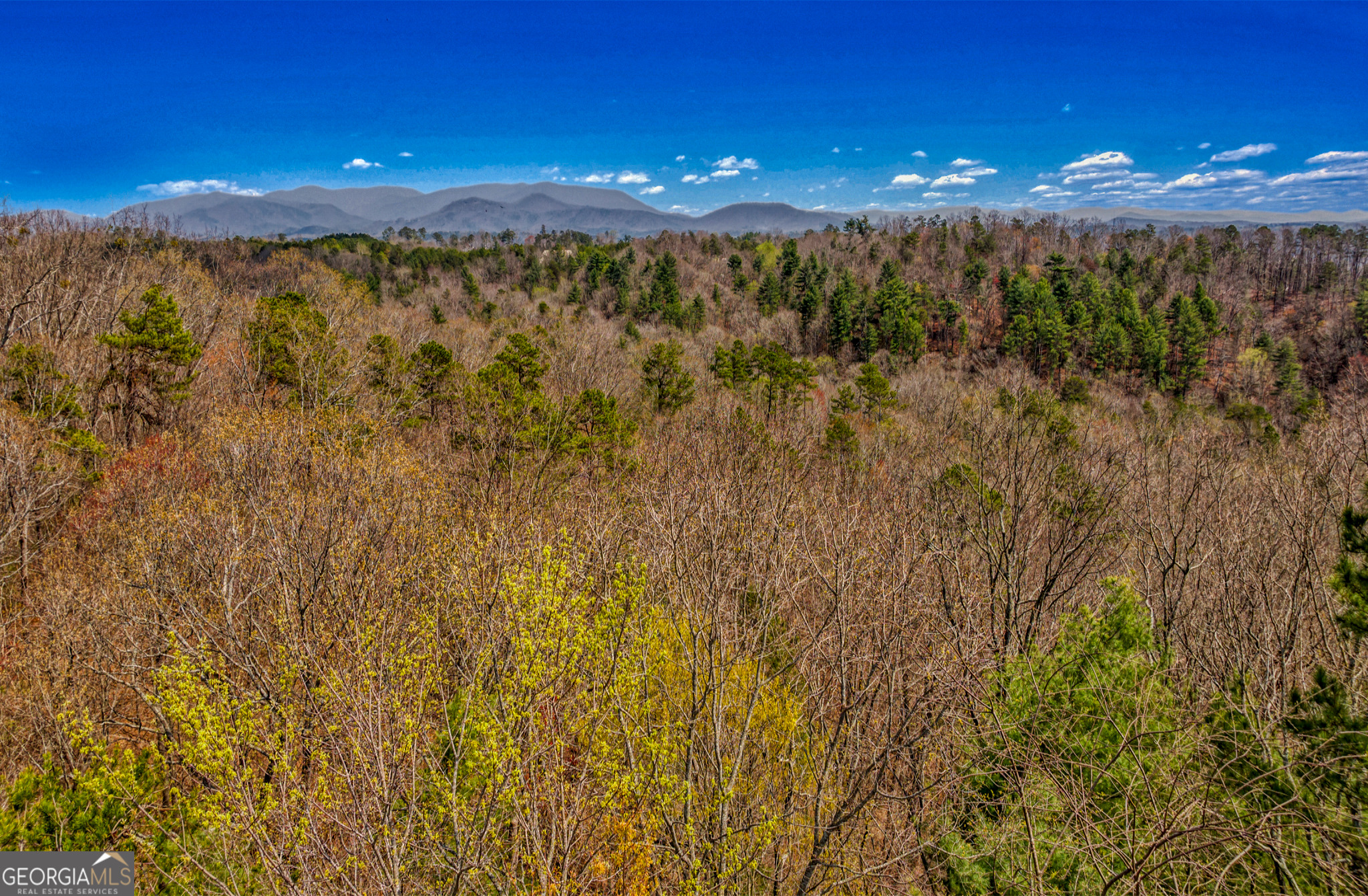 0 Legion RD 241 ACRES