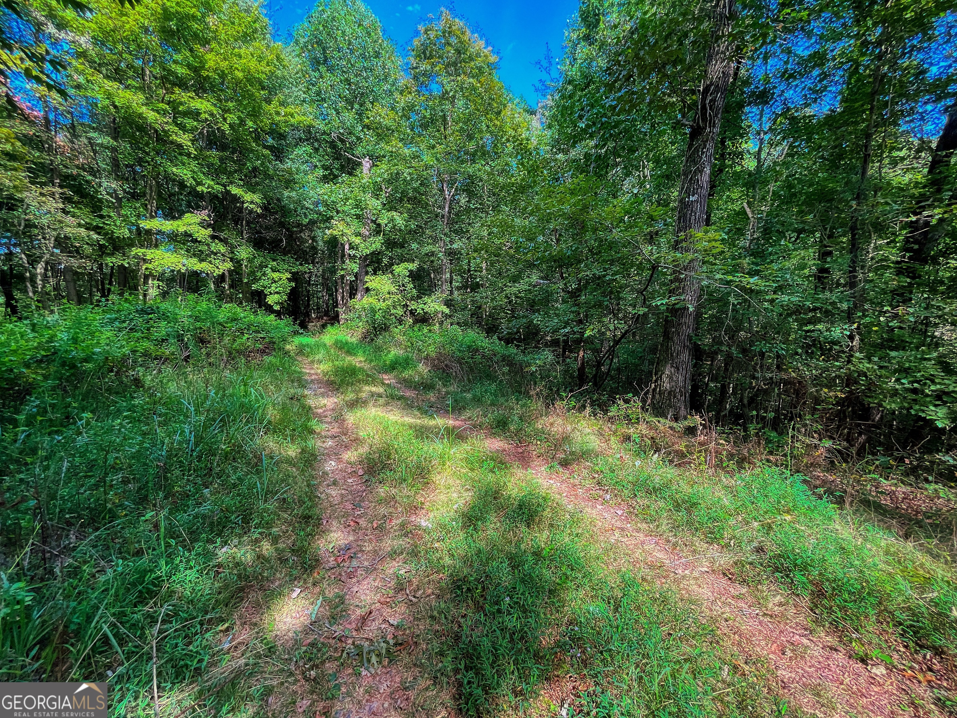 241 ACRES Legion RD