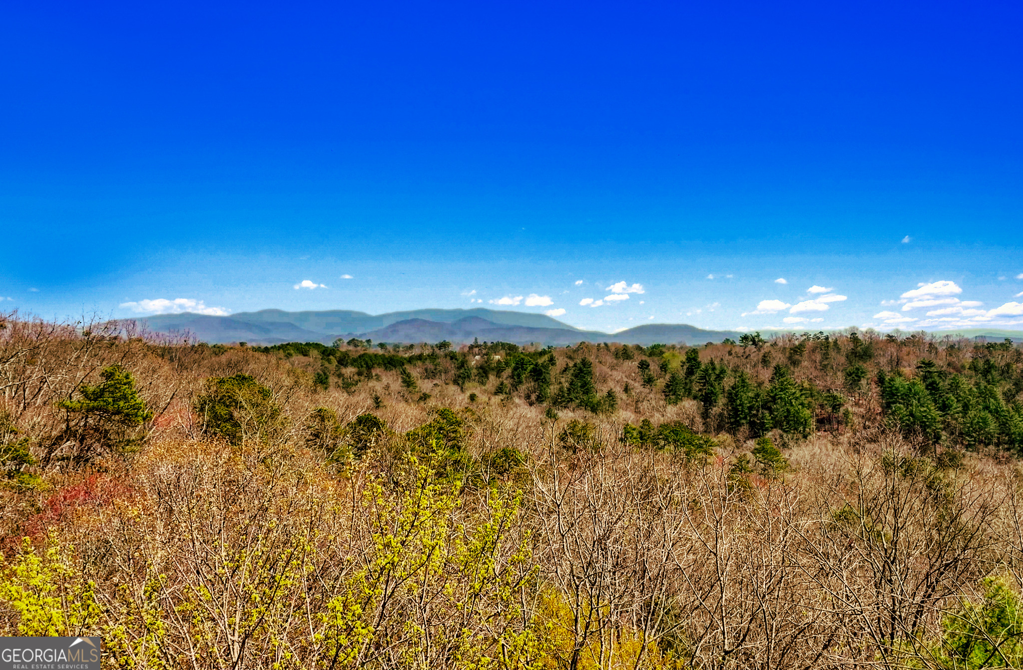 0 Legion RD 241 ACRES