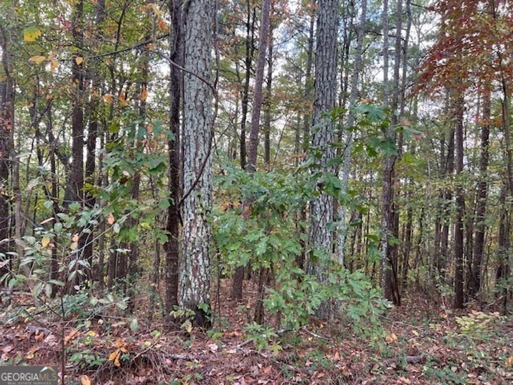 Photo of 100 Valley View Drive NW, Cartersville, GA 30121 (MLS # 10403728)