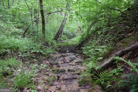 A home in Ellijay