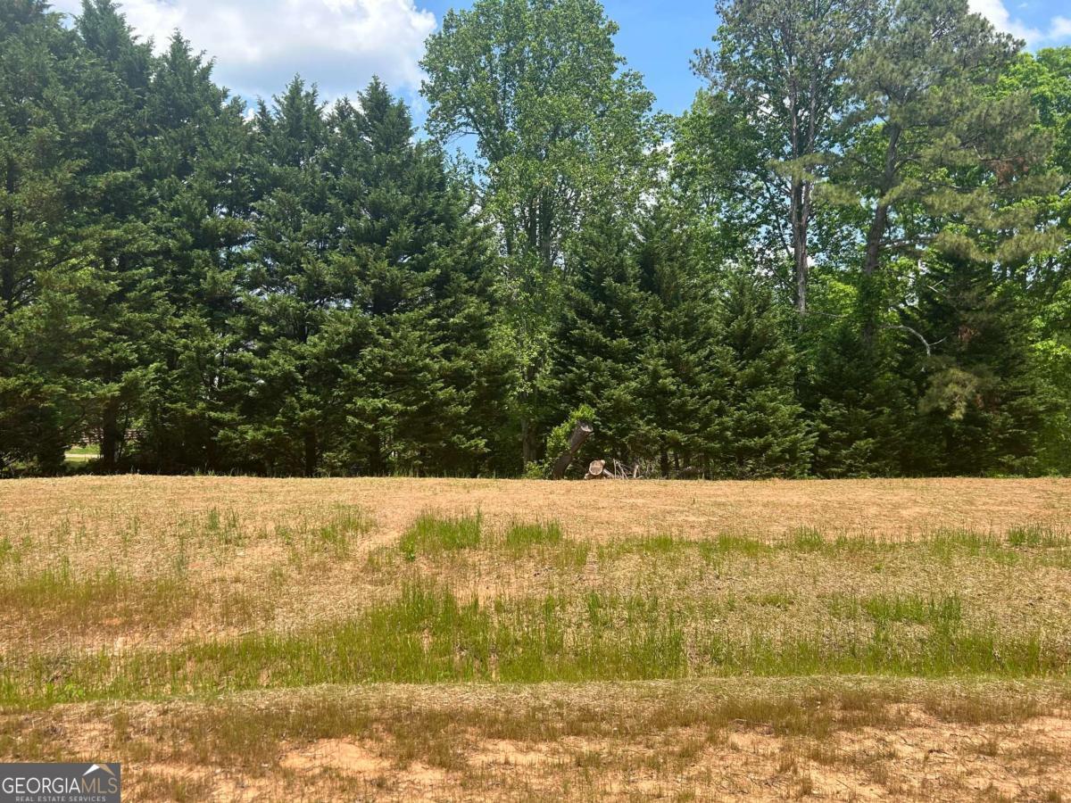 Welcome to lot 1 at Thompson Estates. This 3.205 acre lot offers plenty of room and versatility in planning and building your dream home for the family. Rolling hills and flat topography allows for a large day light basement or walk out main floorplan which plenty of yard left over for a pool and more. Feel free to bring your own builder and reach out to the agent with questions.