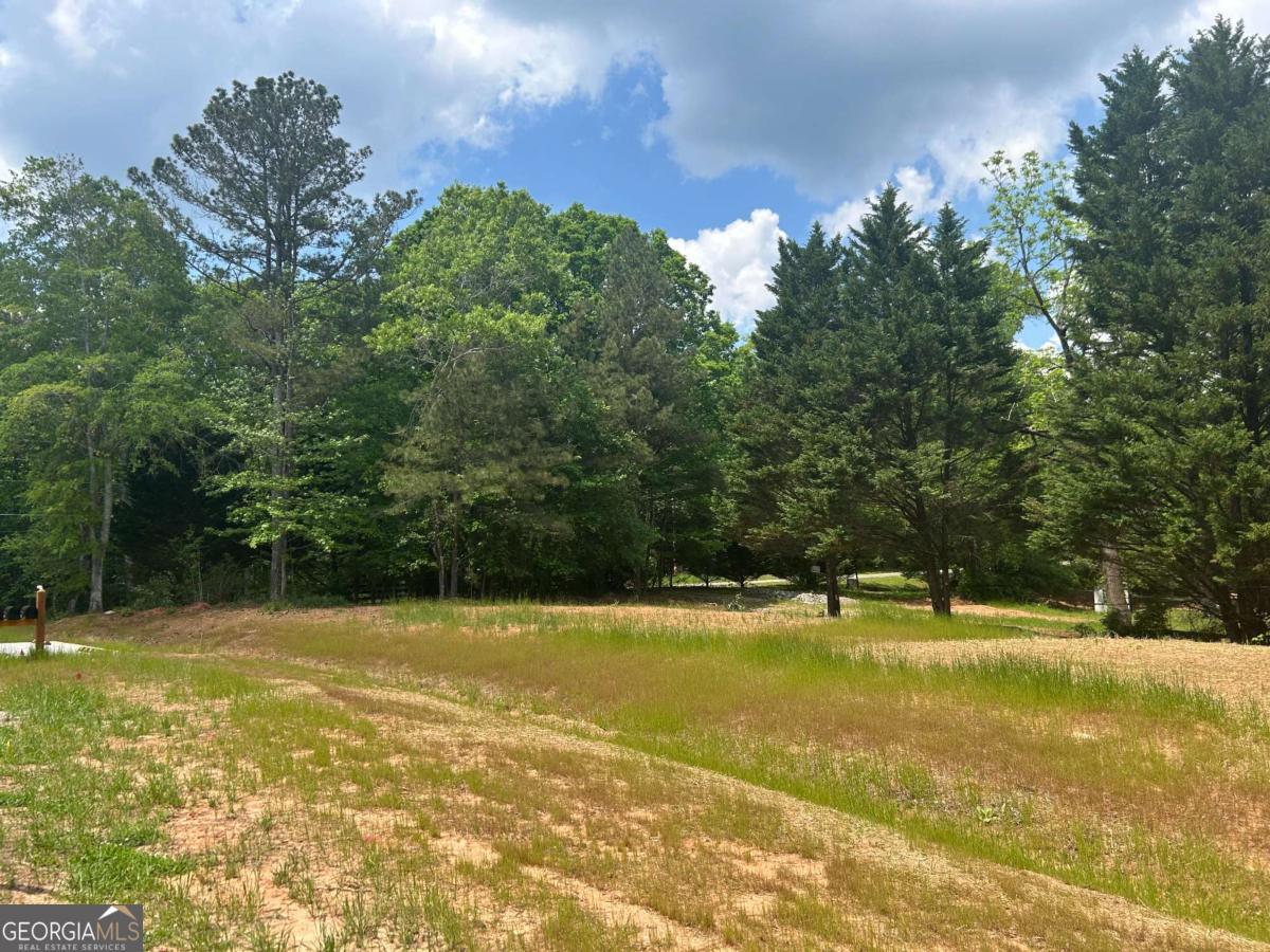 Thompson Estates - Land
