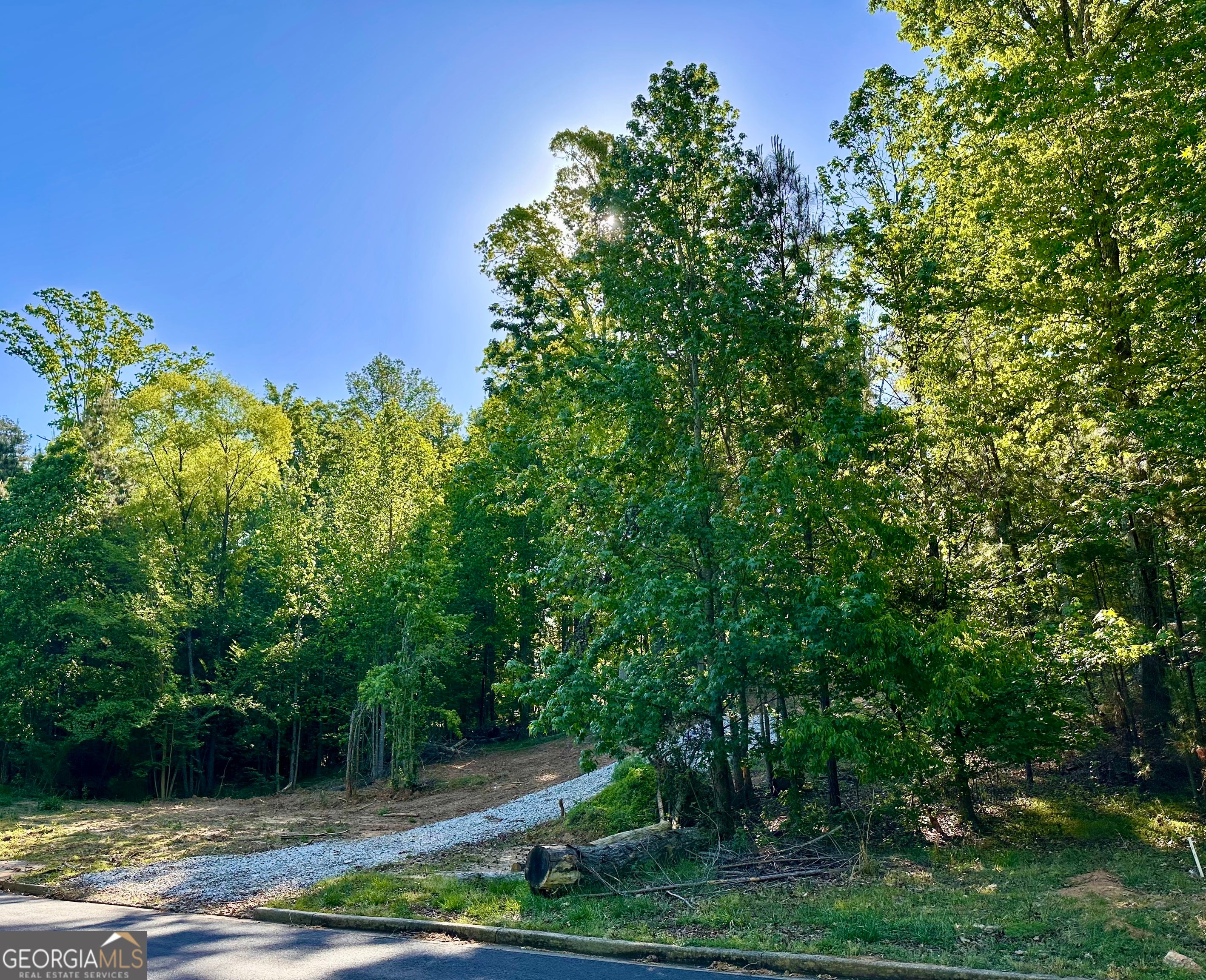 564 Bear Creek LN