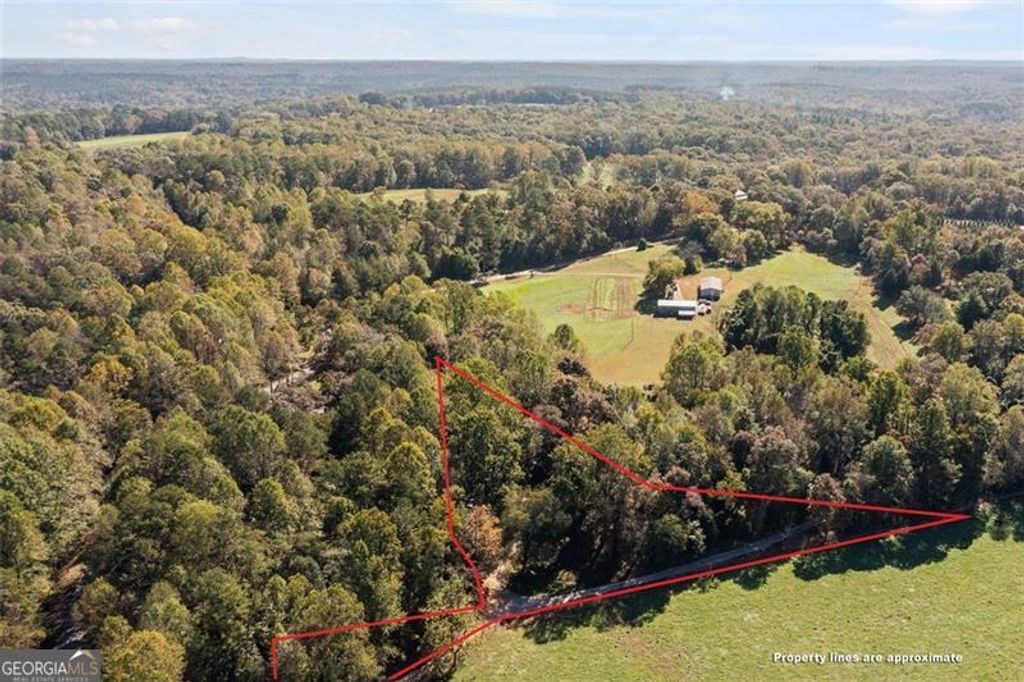 Photo of 610 Old Henry Grady, Dawsonville, GA 30534 (MLS # 10624952)