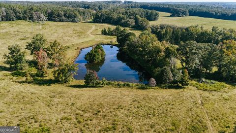 260.66 AC Bohannon RD Grantville GA 30220