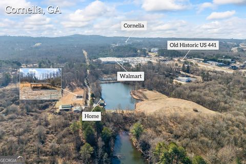 2894 Chase RD Cornelia GA 30531