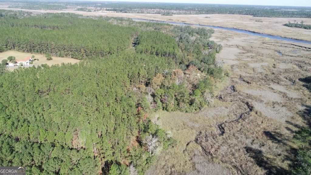 Photo of 14 Waverly Lane, White Oak, GA 31568 (MLS # 10658044)