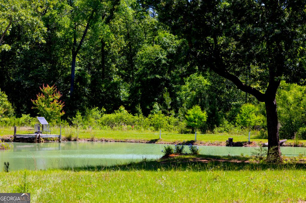 Photo of 246 Melton Mill Road, Dawson, GA 39842 (MLS # 10774950)