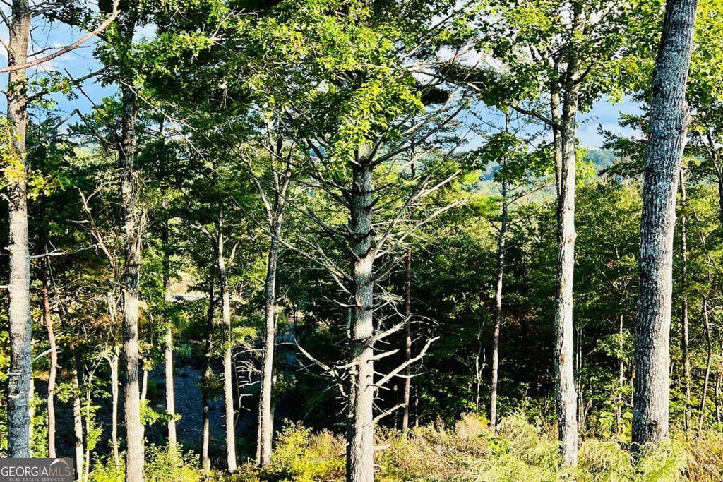 Photo of 17 Mountain Laurel Ridge, Mineral Bluff, GA 30559 (MLS # 10807568)