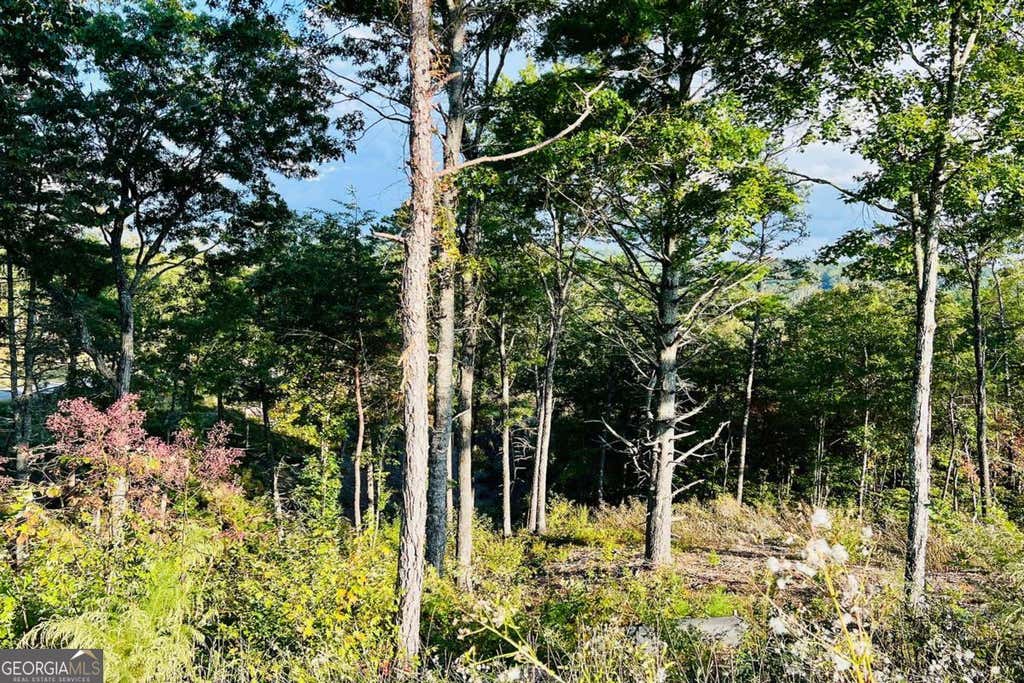 Photo of 17 Mountain Laurel Ridge, Mineral Bluff, GA 30559 (MLS # 10807568)