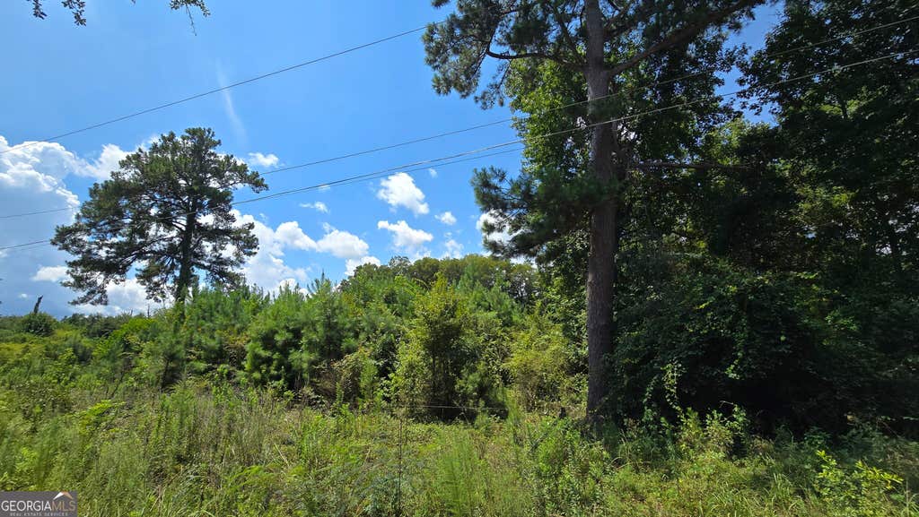 Photo of 7161 Molton Road, Macon, GA 31216 (MLS # 10825782)