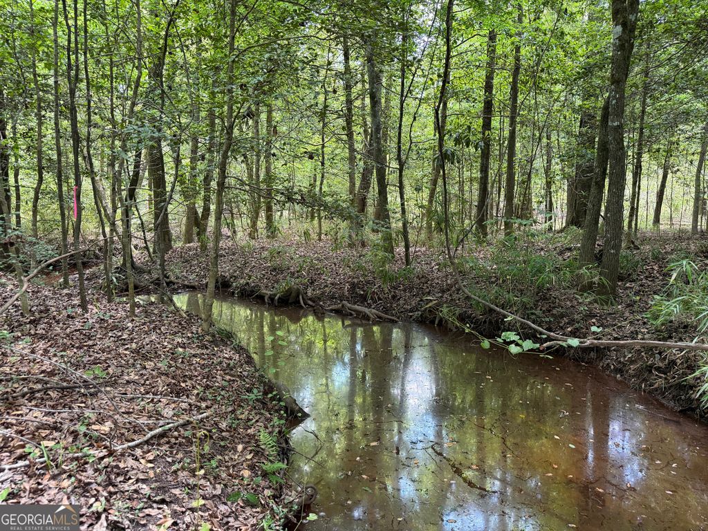 Photo of 25 Long Branch Rd, Toomsboro, GA 31090 (MLS # 10761569)