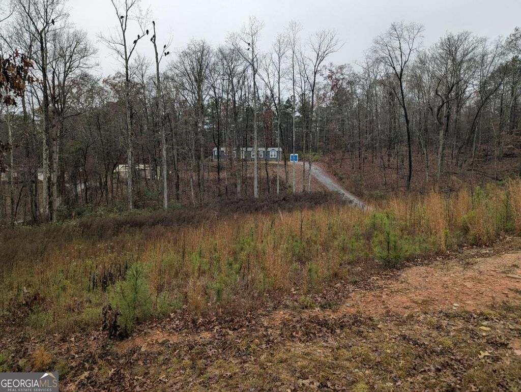 Photo of 165 W Hulett Lane, Carrollton, GA 30116 (MLS # 10658192)