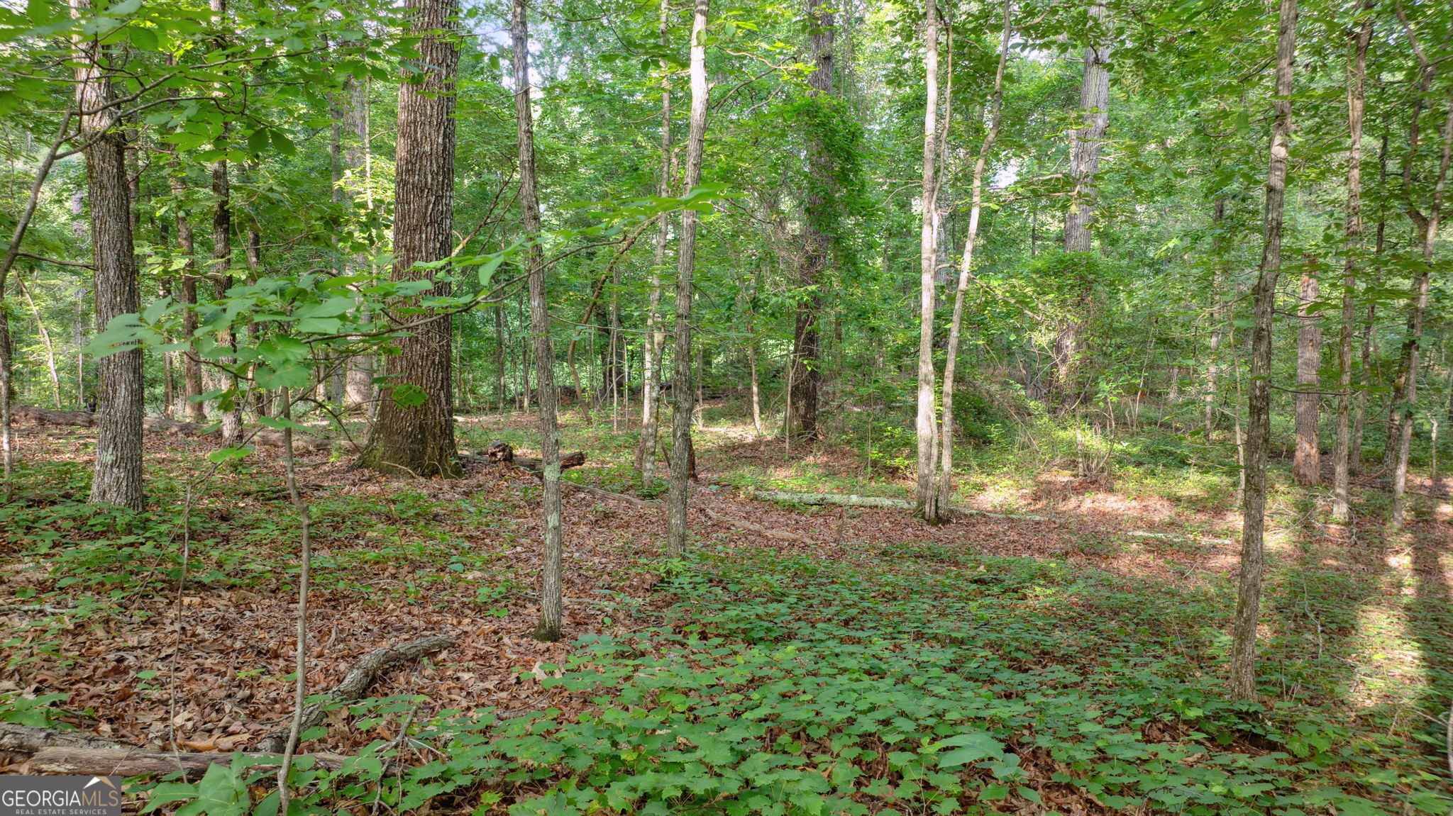Scarlet Oaks - Residential
