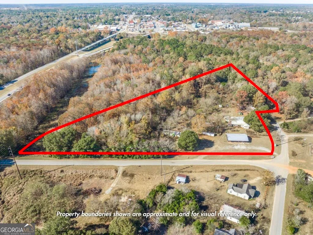 51 Louie Blount Road, Hawkinsville, GA, 31036
