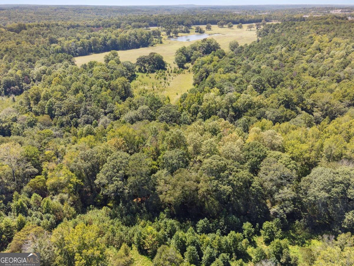 3145443576 Homes for Sale
