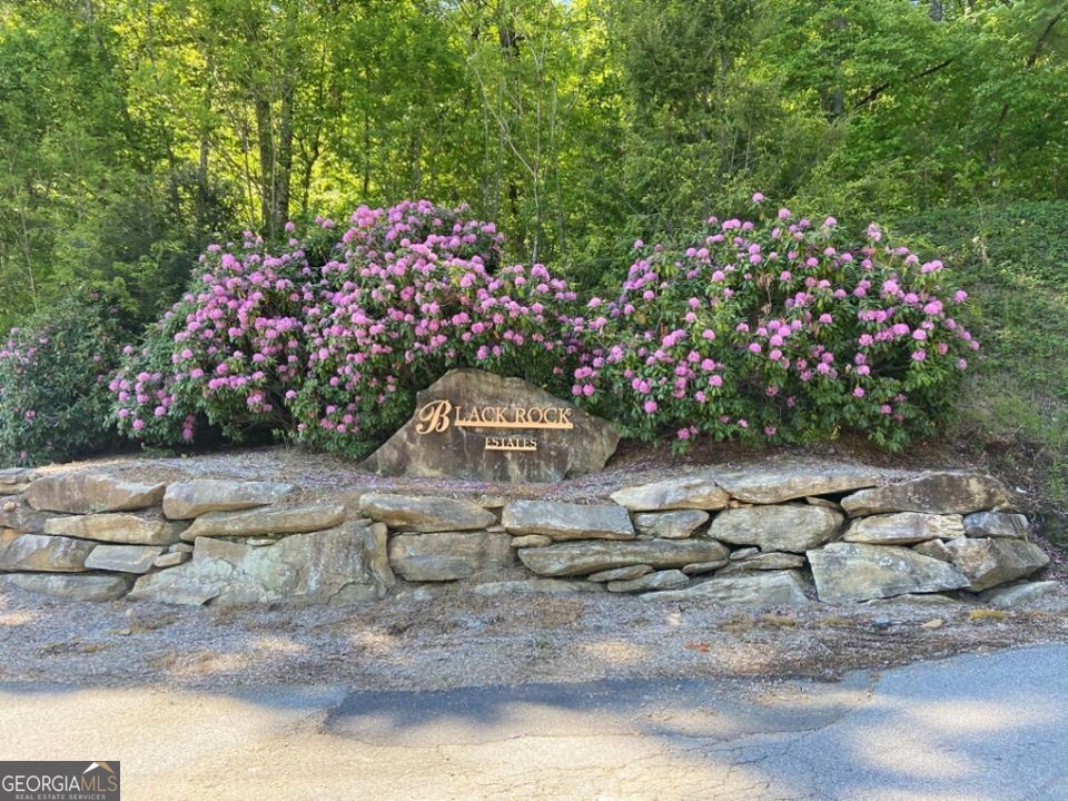 Here's your chance to purchase 3.12 private acres in the gated community of Black Rock Estates. With few restrictions, you can build your dream home with fabulous views of Clayton and the mountains of North Georgia. Located near the gates on the right, this lot is ready for you! The seller is the listing agent.
