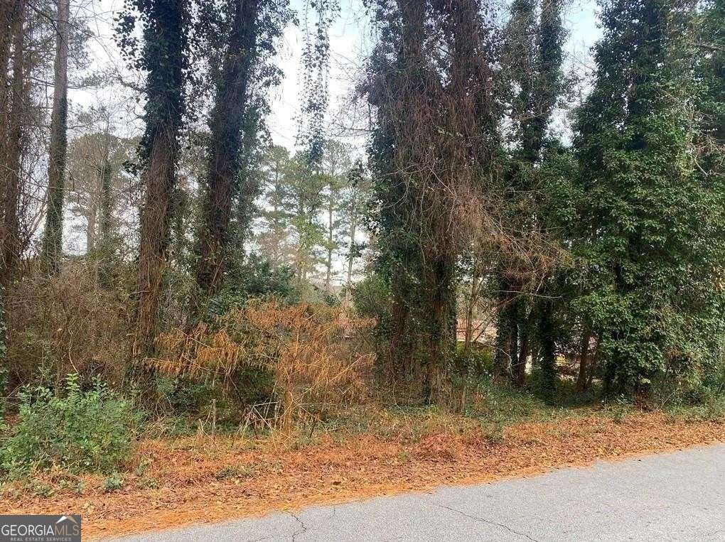Great opportunity to own a beautiful 0.67-acre lot on the serene and picturesque Lake Capri! This waterfront offers stunning views and is ideal for recreational use, such as boating and fishing. Located in a very well-maintained community, you'll have full access to all Lake Capri has to offer. Please note: this is a non-buildable lot. Call A Realtor today to get more information.