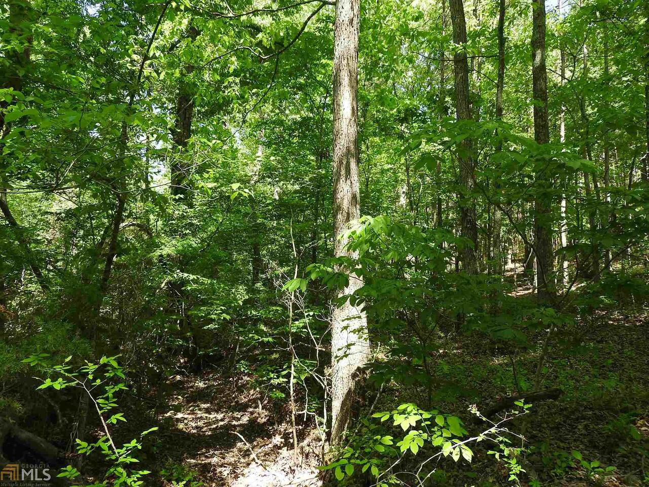 0 Griffin RD 5007-PARCEL 3