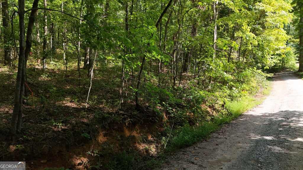 Photo of 184 Hillside Drive, Clarkesville, GA 30523 (MLS # 10841500)