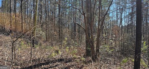 30 & 48 Dogwood TRL Martin GA 30557