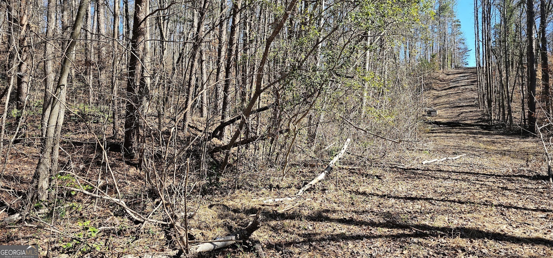 30 & 48 Dogwood TRL