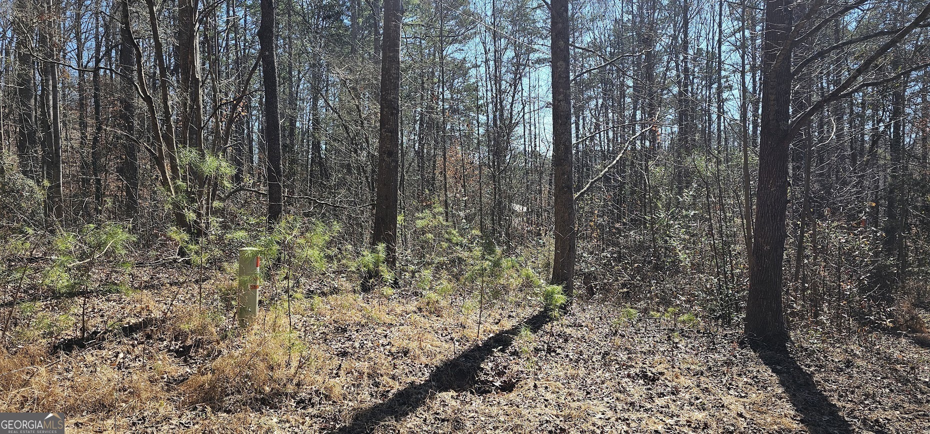 30 & 48 Dogwood TRL