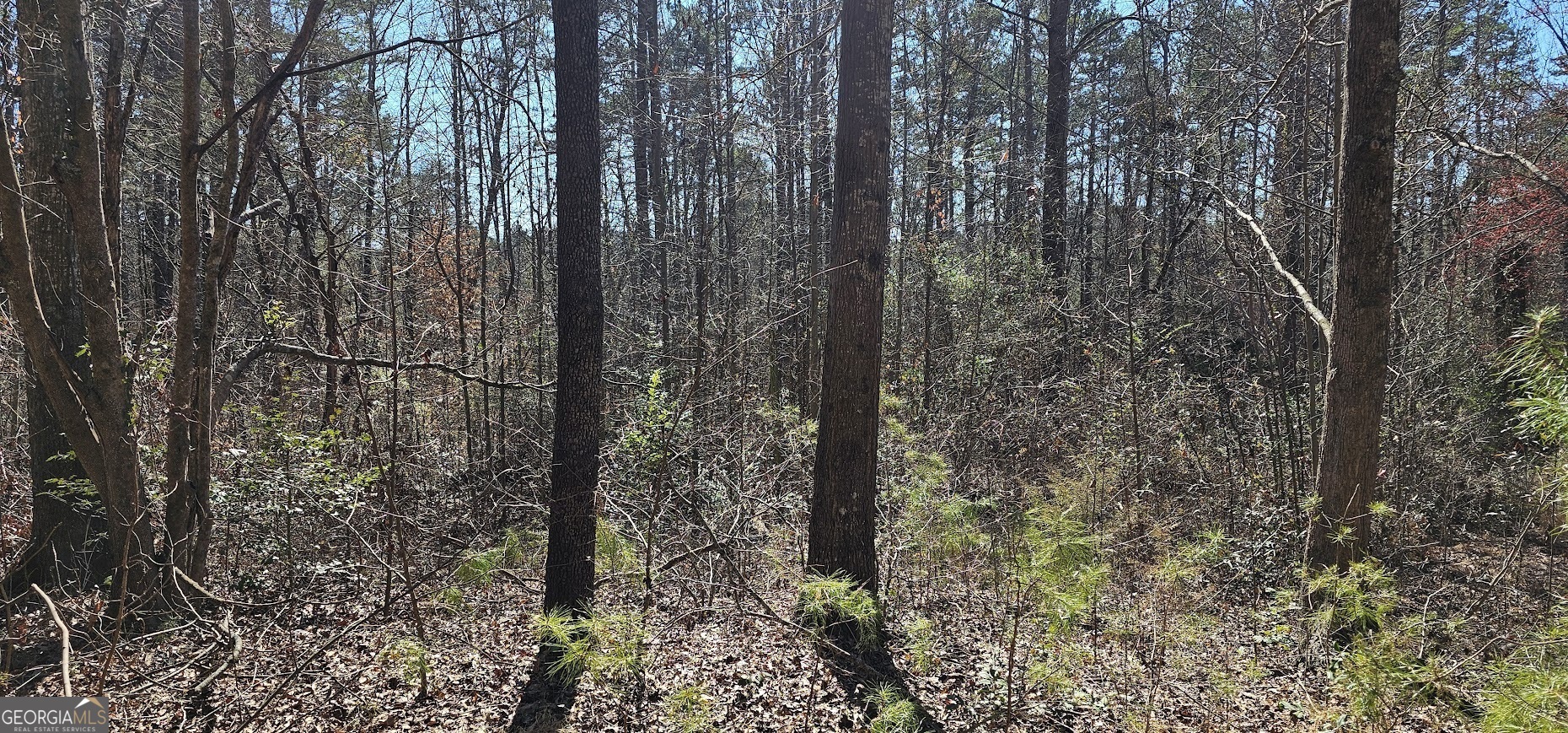 30 & 48 Dogwood TRL