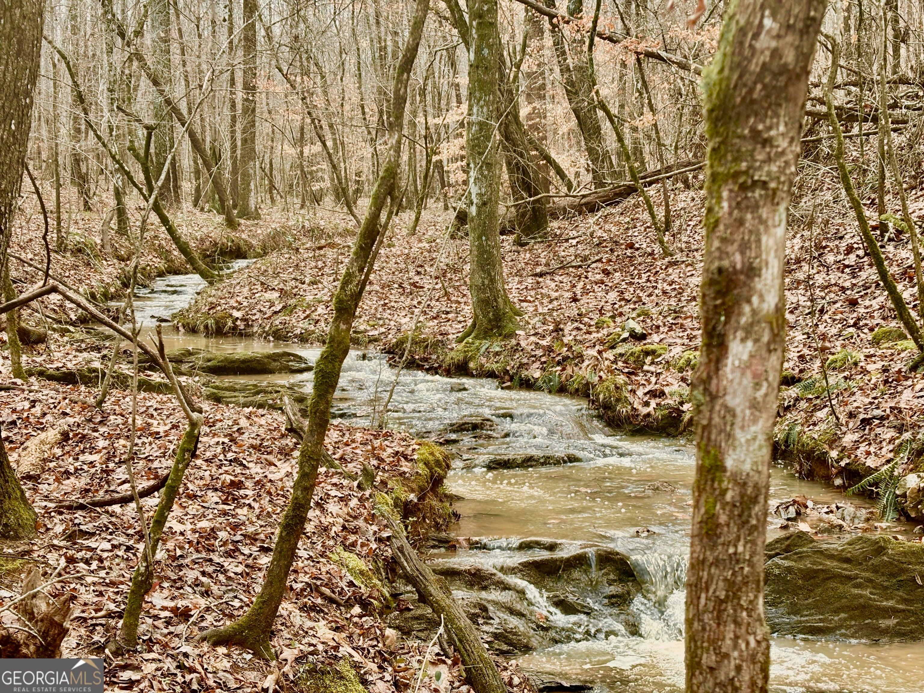 0 Narroway Church CIR LOT #1 (NORTHERN 38.73 AC
