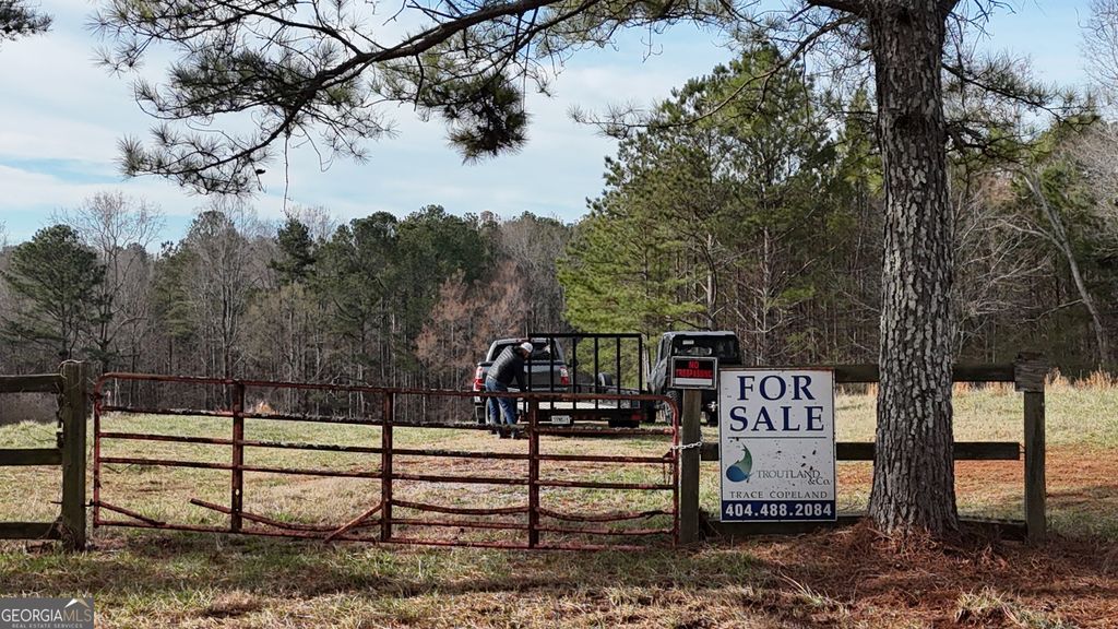 Photo of 0 Narroway Church Circle #LOT 1 (NORTHERN 38., Dallas, GA 30132 (MLS # 10756864)