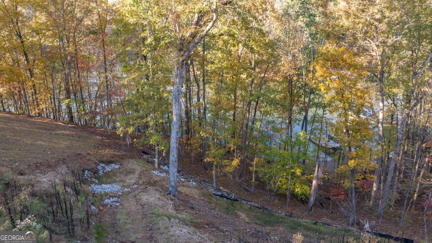 Gainesville, Georgia 30506, United States, ,Land,Active,236461