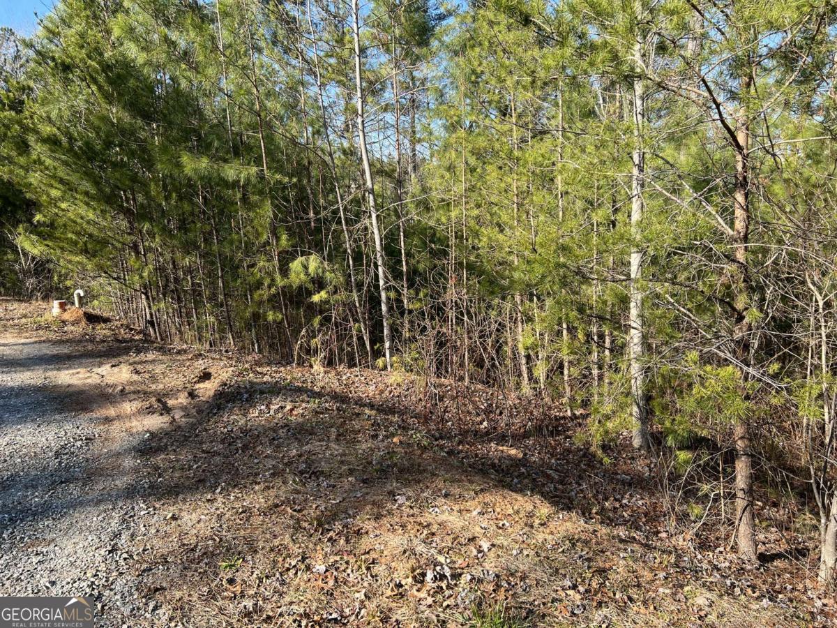 LOT 1855 Hunter DR 1855
