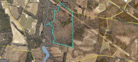 Photo of 0 Knox Mill Road, Soperton, GA 30457 (MLS # 10640244)